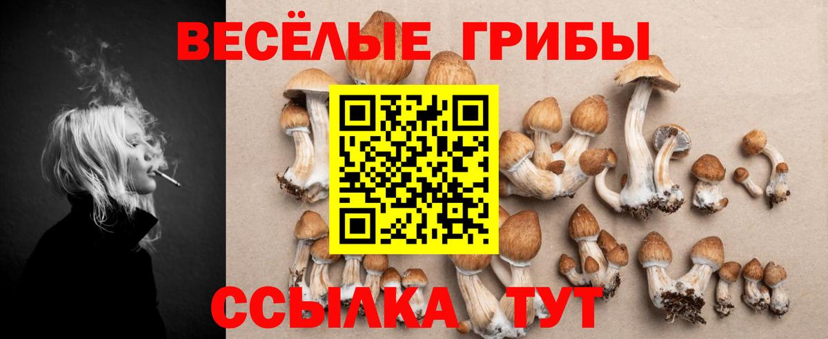 Псилоцибиновые грибы ЛСД Великие Луки