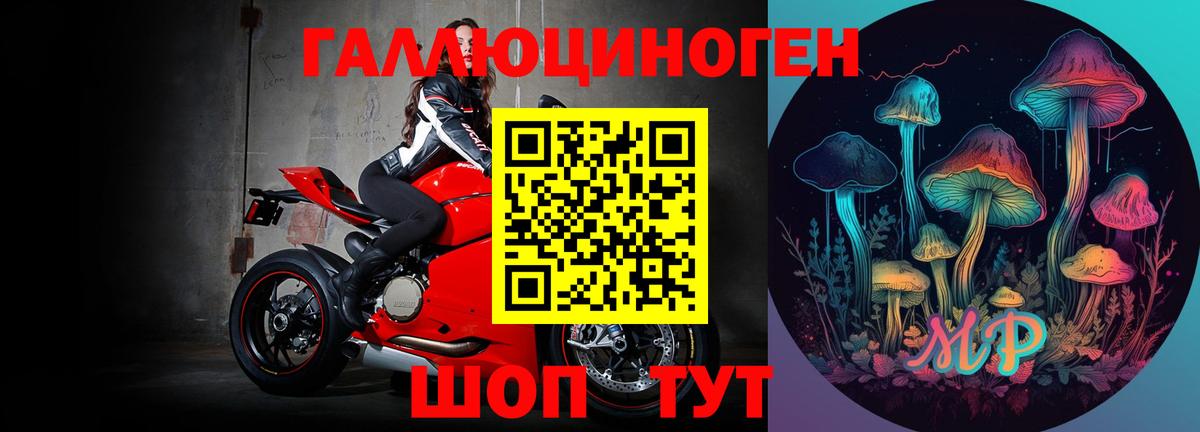 Великие Луки  Галлюциногенные грибы Psilocybe  Вход с VPN 